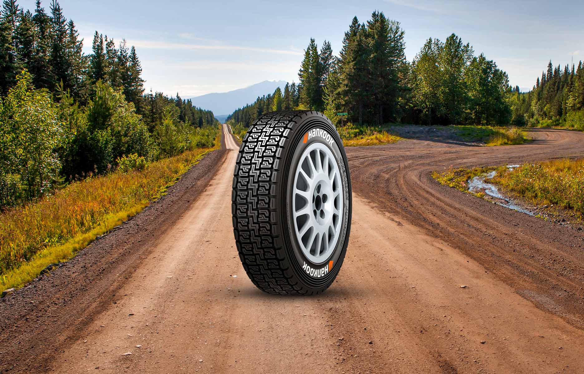 dynapro r211 information