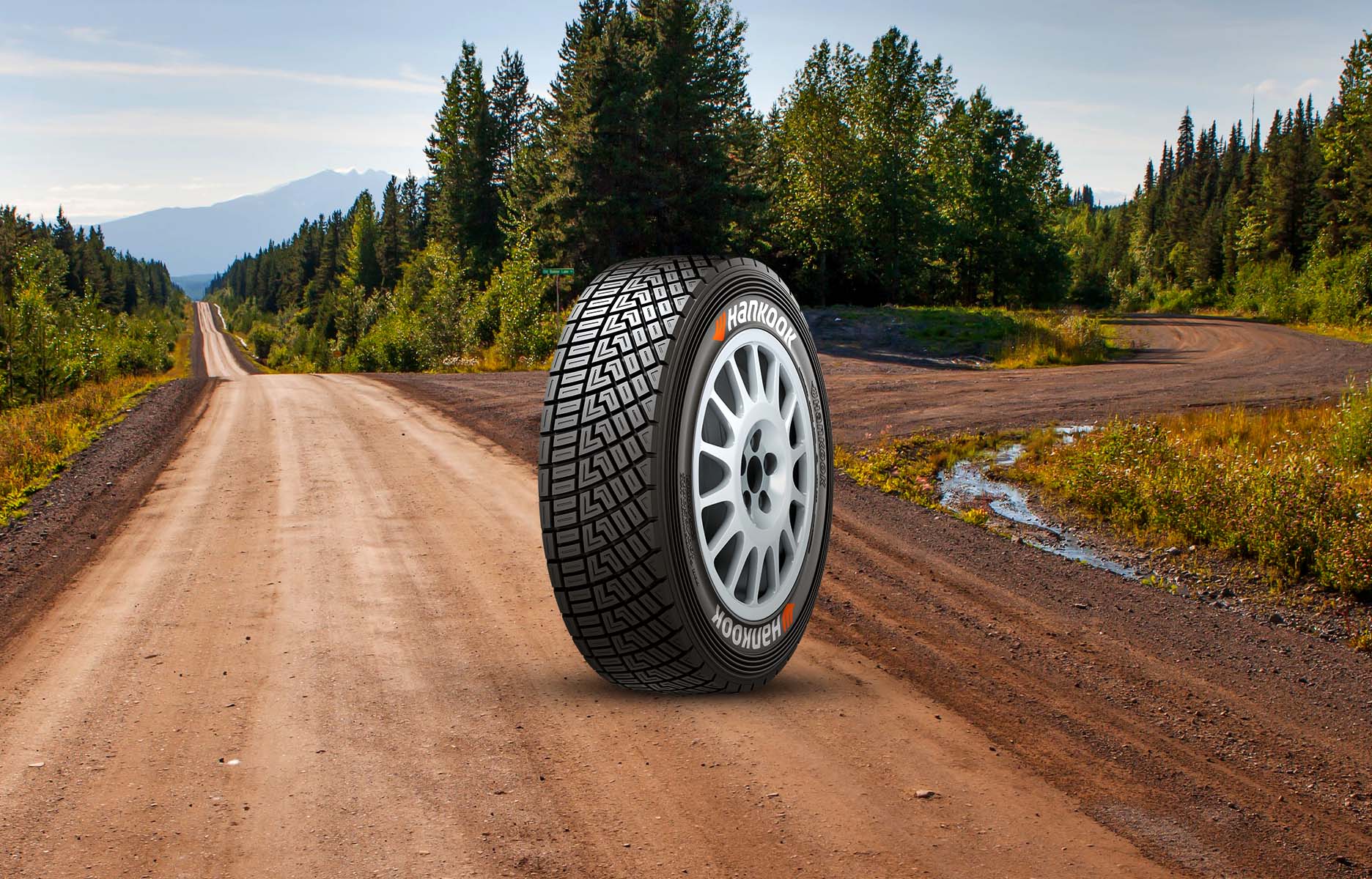 dynapro r213 information