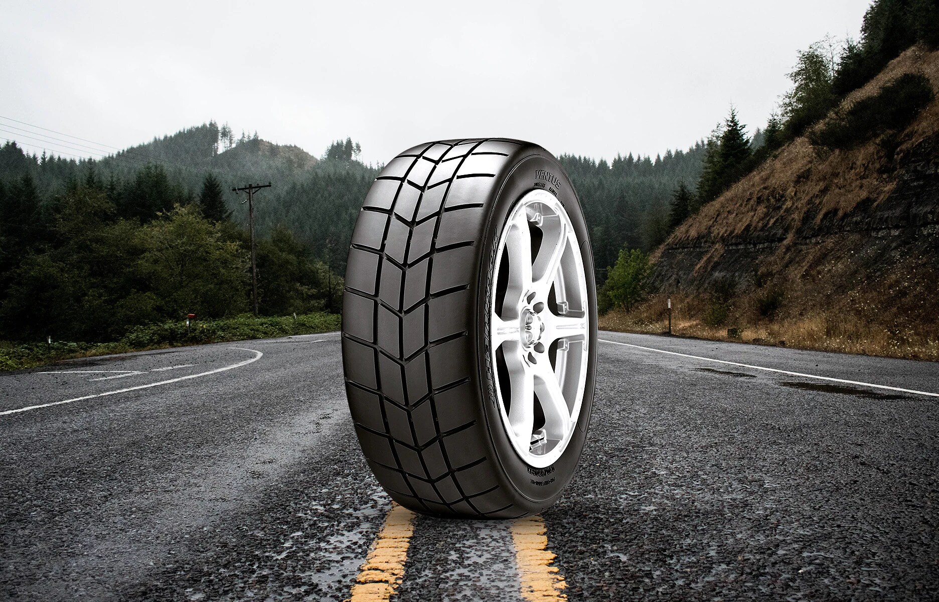 ventus z213 information